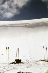 Cornice