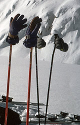 Ski gloves