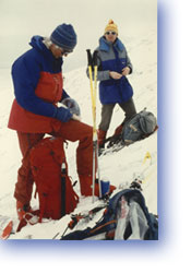 skinning