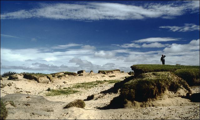 ardnavedune.jpg